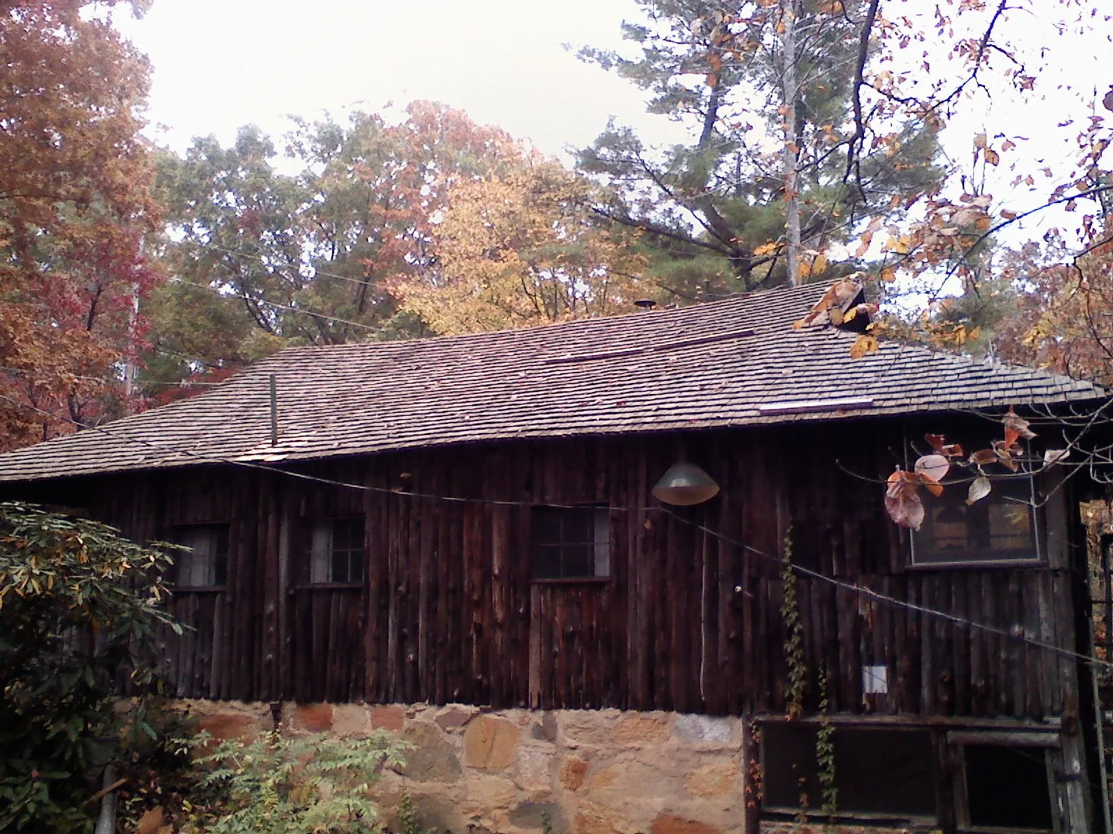 Weathered wood shake roof on a rustic board sided cabin in Cowen